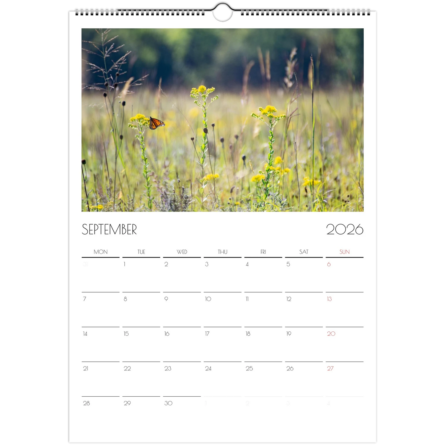 dda9e528-dc5f-4a3f-9f21-f31f764f3067