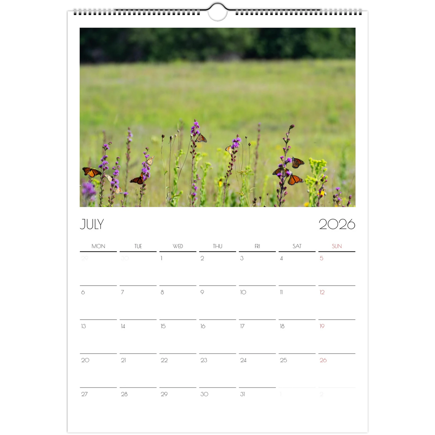 e22abe66-2de7-4afd-a386-7943c738392a