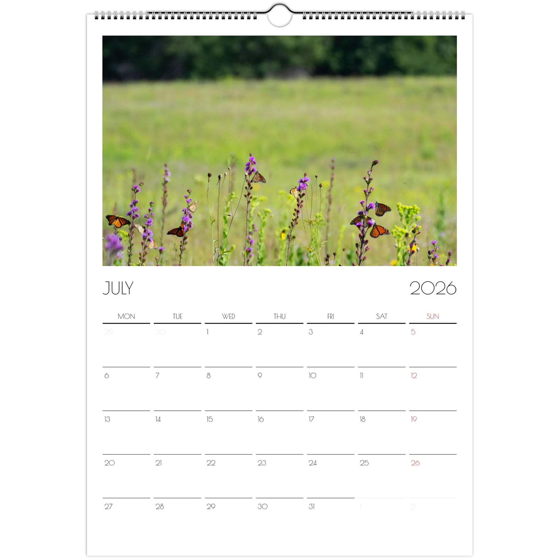 e22abe66-2de7-4afd-a386-7943c738392a