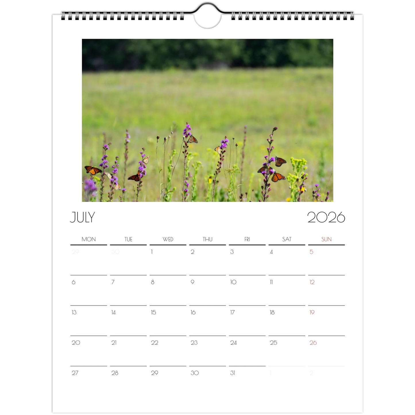 e94f85ed-e2dd-4b49-a4eb-5cbc28a36e77