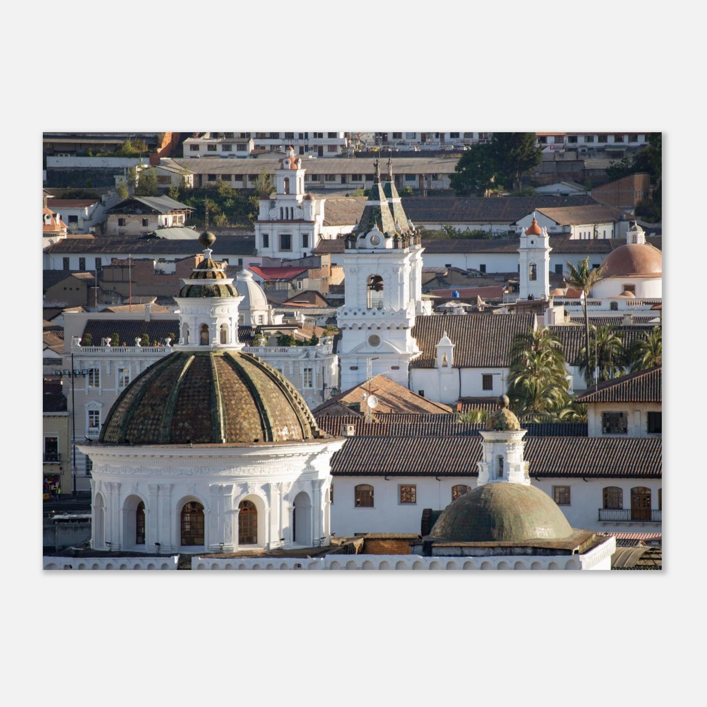 ec33219a-6a60-44af-8c91-6425d4a94f6e