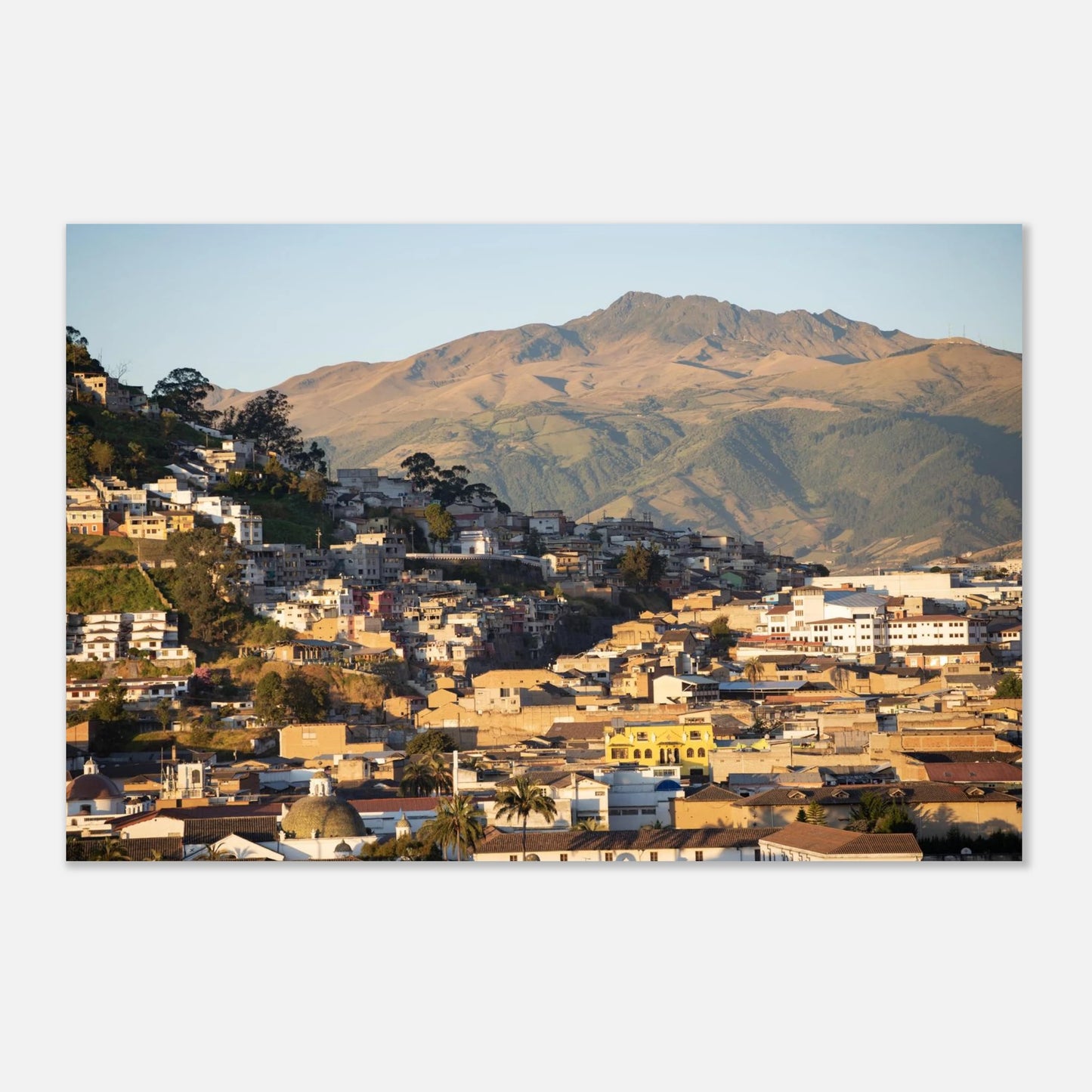 ec6e634b-6cc5-4831-9244-96c7cd9f04c0