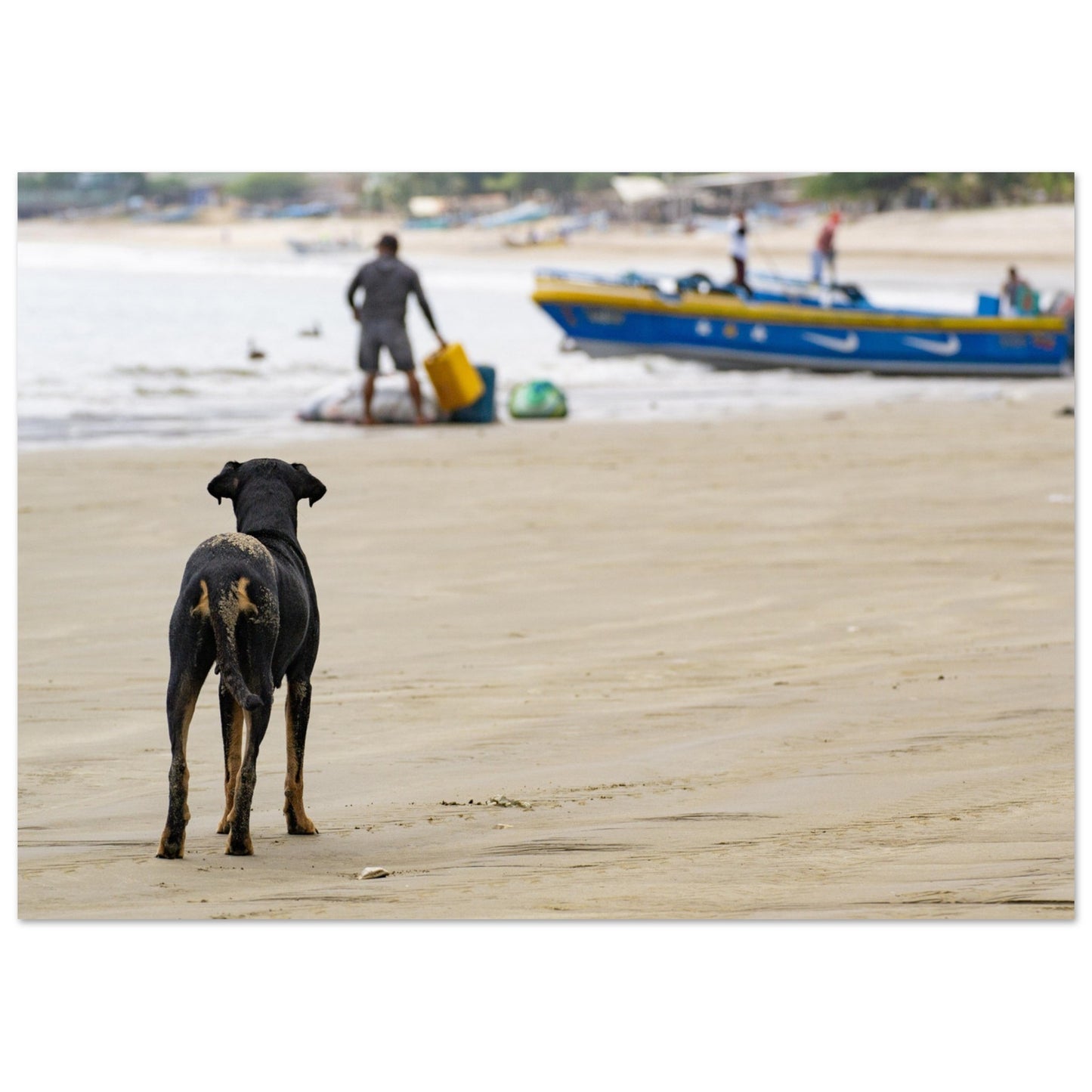 ee8e34be-df95-45ac-9cff-899263e7caac