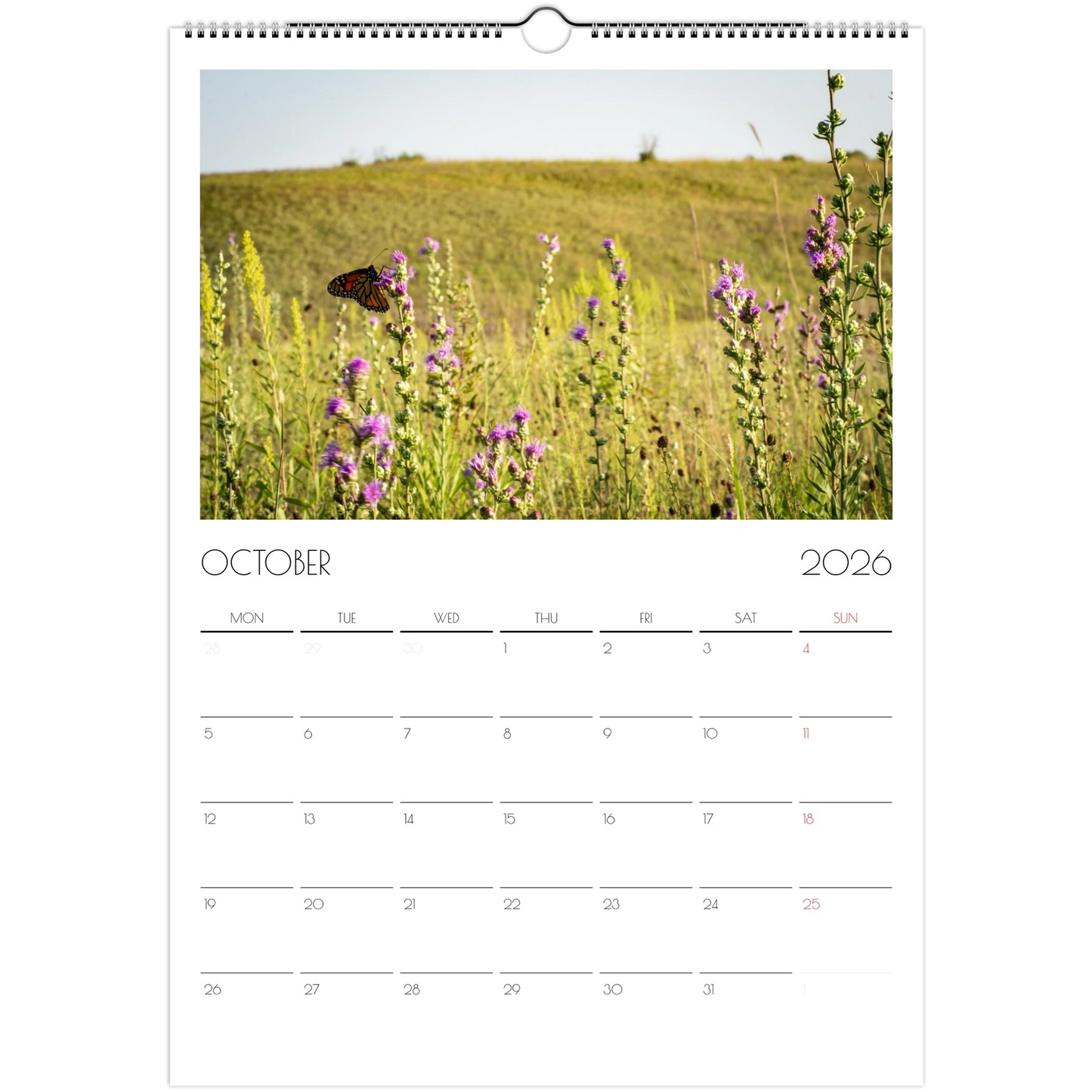 f9cae3ca-ef6d-4324-9dde-0f9e1b092f70