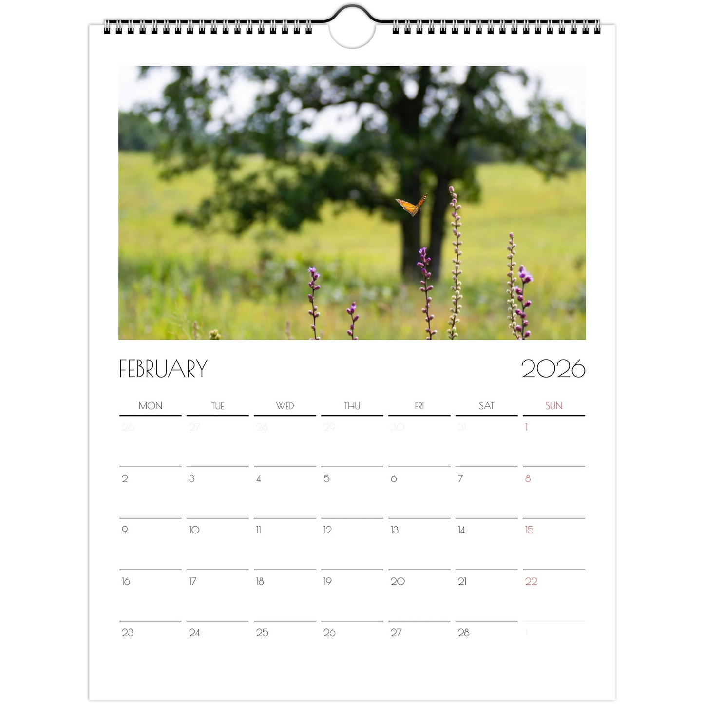 fe398f74-54e4-45fb-9928-1551f98a4731