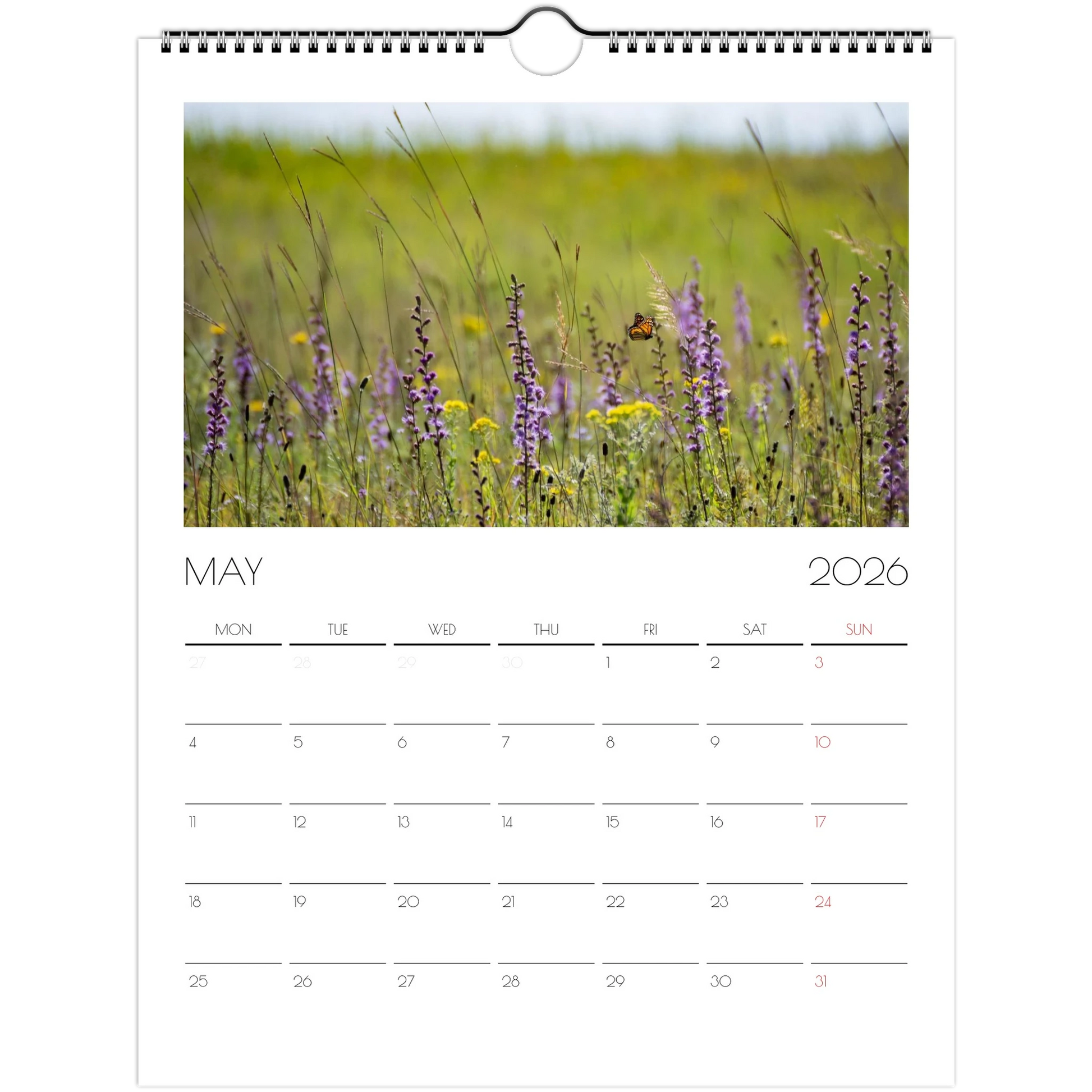 ff4831fc-b781-44b9-bc51-415c885162dc